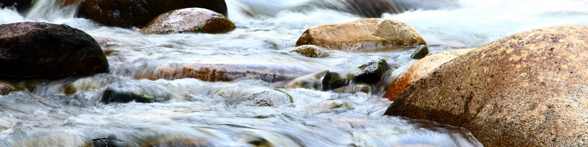 Hereditary TTP Registry